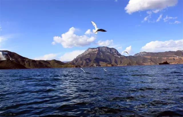 丽江怎么去泸沽湖，丽江市区到泸沽湖仅需2.5小时（丽江到泸沽湖怎么走最划算）