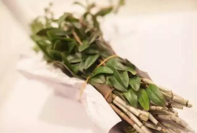 铁皮石斛糖尿病有用吗(铁皮石斛糖尿病人吃有什么好处)
