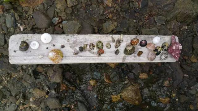 美丽小岛人间仙境，天然心形小岛惊现深圳