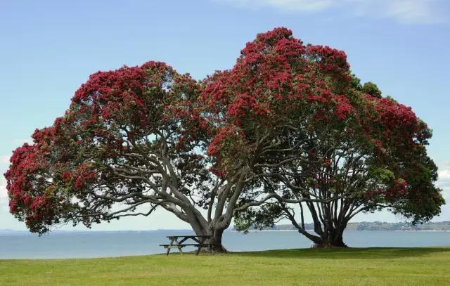 丽江怎么去泸沽湖，丽江市区到泸沽湖仅需2.5小时（丽江到泸沽湖怎么走最划算）
