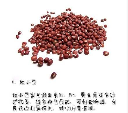 水肿型肥胖吃什么(水肿肥胖怎么治疗)