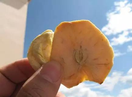 丽江怎么去泸沽湖，丽江市区到泸沽湖仅需2.5小时（丽江到泸沽湖怎么走最划算）