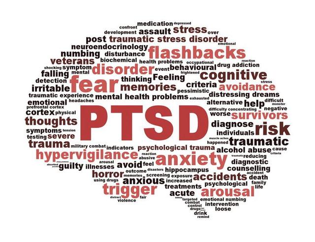 肥胖ptsd(肥胖纹长什么样)