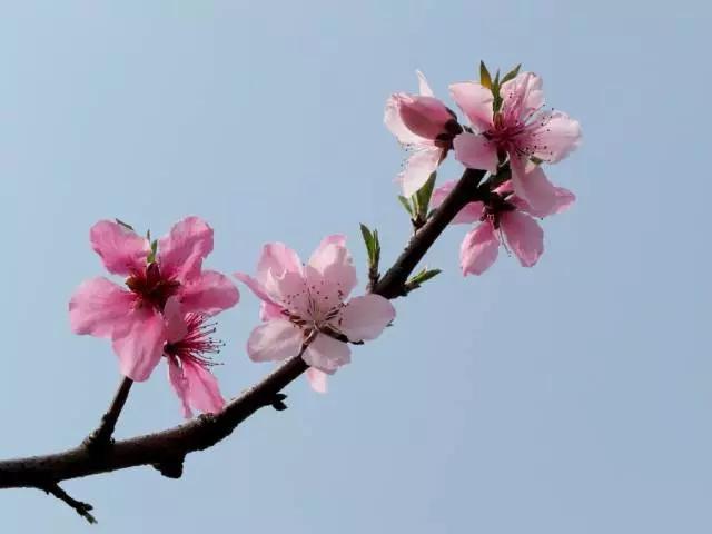 什么聚财转运，民间常用的八个转运聚财办法