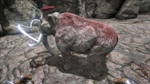 方舟生存进化手游怎么驯服凶齿豨，《方块方舟》玩家骑古代巨猪高歌猛进