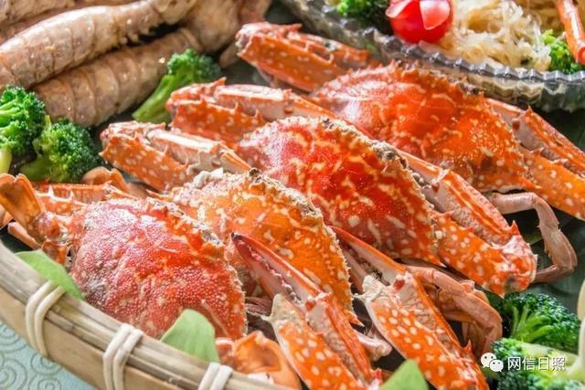 日照海鲜批发市场，日照海边海鲜推荐