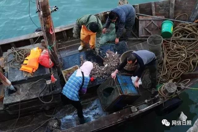 日照海鲜批发市场，日照海边海鲜推荐