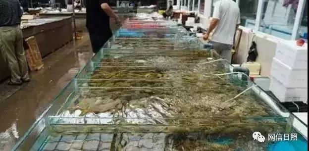 日照海鲜批发市场，日照海边海鲜推荐