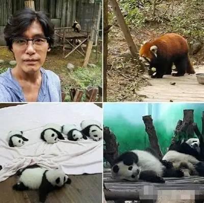 斗图必备表情包15张，一言不合就斗图