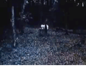 三个版本的贞子忍不住笑了，贞子的女演员居然长这样