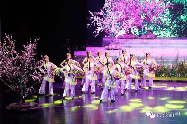 青海花儿大全茶卡盐湖，《茶卡盐湖》