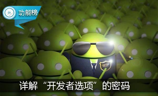 安卓手机开发者模式怎么进，玩转安卓手机开发者选项