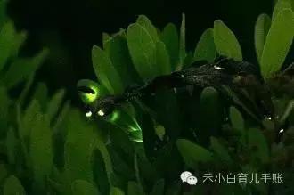 日本迪士尼乐园，东京哪些地方适合亲子游