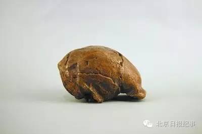 北京猿人头盖骨，北京猿人头骨发现（全民寻找“北京人”头盖骨）