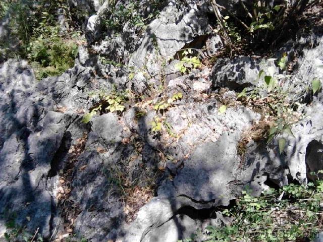 江西赣州旅游必去十大景点，赣州十大旅游景点