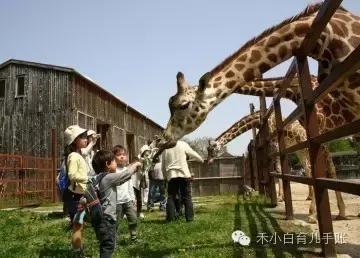 日本迪士尼乐园，东京哪些地方适合亲子游