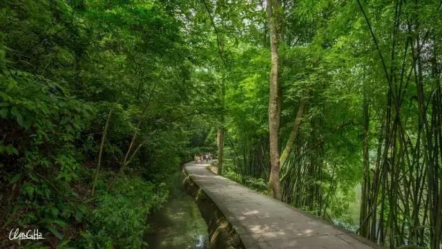 峨眉山景区路线图，峨眉山最经典的徒步游玩攻略（四川峨眉山旅游攻略）