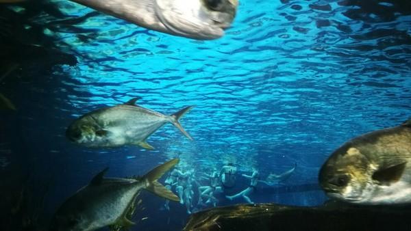 泉城欧乐堡梦幻世界，泉城欧乐堡梦幻世界乐园简介（愉快出行丨厦门欧乐堡带你体验“梦幻世界”）