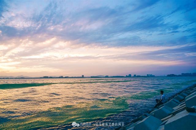 连理岛人工岛介绍，神秘了十年的连理岛