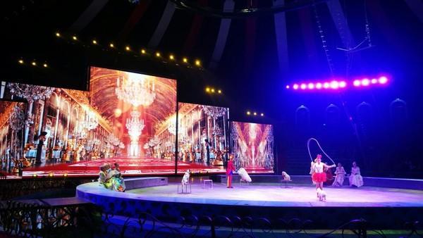 泉城欧乐堡梦幻世界，泉城欧乐堡梦幻世界乐园简介（愉快出行丨厦门欧乐堡带你体验“梦幻世界”）