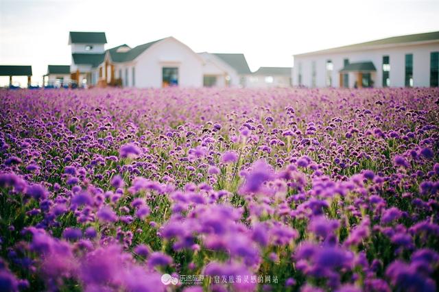 连理岛人工岛介绍，神秘了十年的连理岛