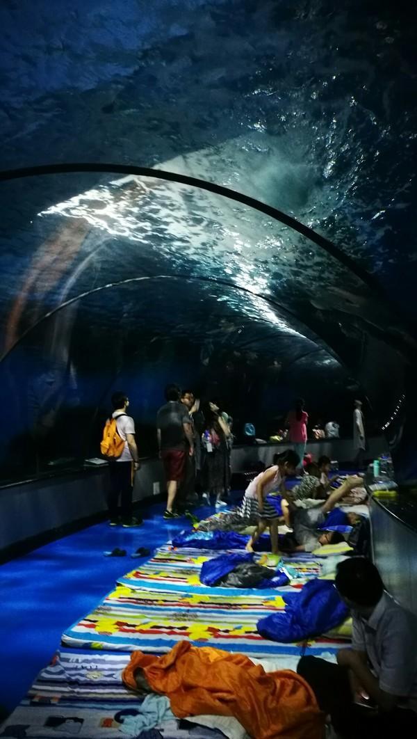 泉城欧乐堡梦幻世界，泉城欧乐堡梦幻世界乐园简介（愉快出行丨厦门欧乐堡带你体验“梦幻世界”）