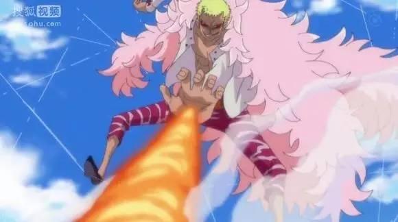 海贼王官方果实图鉴，海贼王果实系列