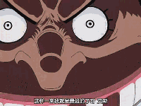 海贼王官方果实图鉴，海贼王果实系列