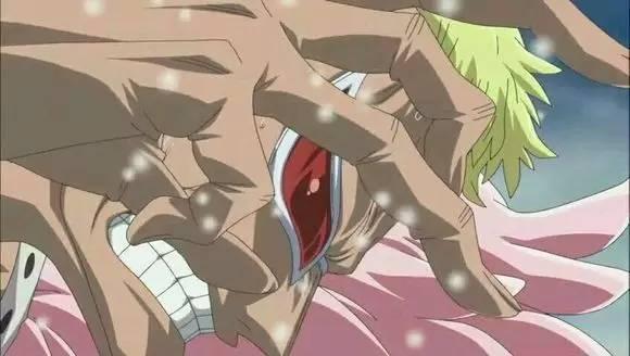 海贼王官方果实图鉴，海贼王果实系列