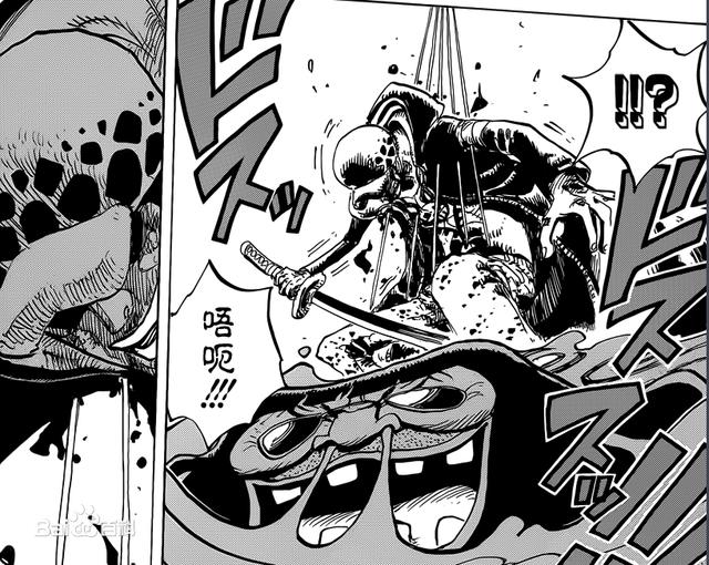 海贼王官方果实图鉴，海贼王果实系列