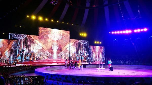 泉城欧乐堡梦幻世界，泉城欧乐堡梦幻世界乐园简介（愉快出行丨厦门欧乐堡带你体验“梦幻世界”）