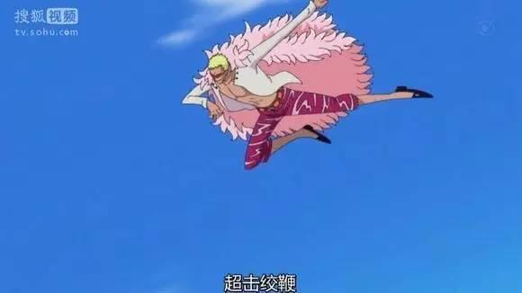 海贼王官方果实图鉴，海贼王果实系列