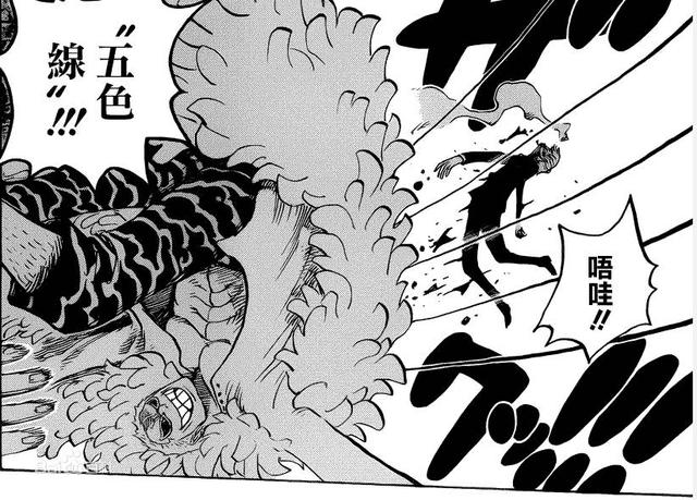 海贼王官方果实图鉴，海贼王果实系列