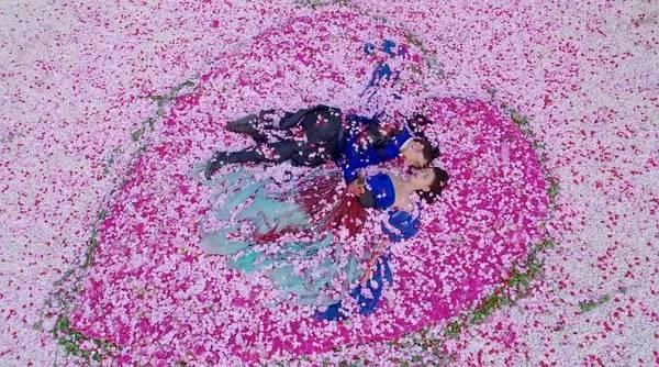 太子妃升职记大结局为什么没有，"太子妃升职记"下线