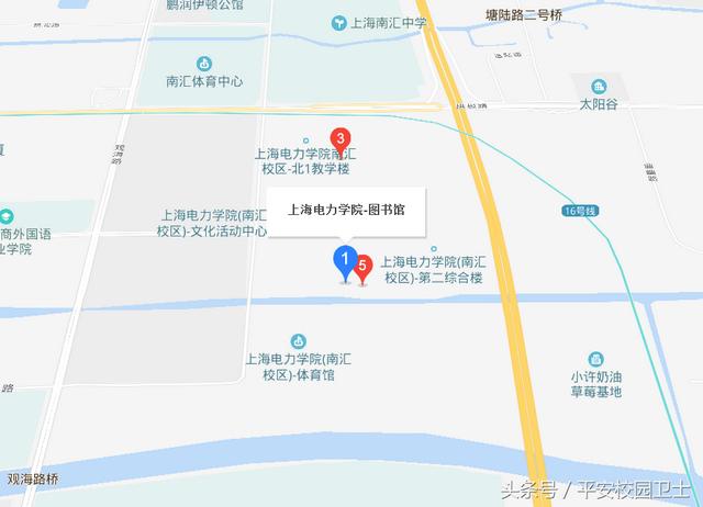 上海中医药大学图书馆，上海哪个大学图书馆对外开放