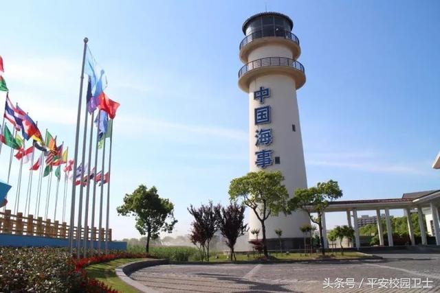 上海中医药大学图书馆，上海哪个大学图书馆对外开放