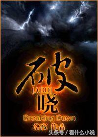 ao文，书荒求完结版文笔好的小说