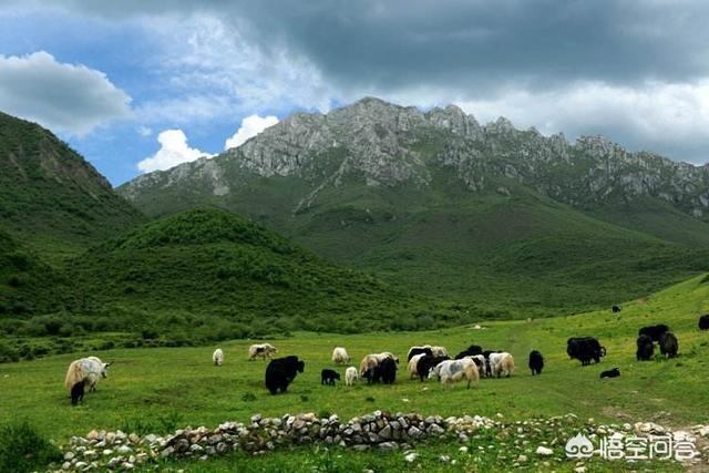 定西周边旅游景点推荐，定西最全旅游景点指南