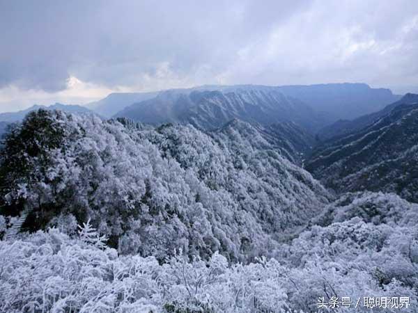 黄水森林公园介绍，黄水森林公园