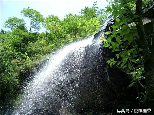 黄水森林公园介绍，黄水森林公园