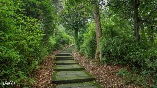 峨眉山景区路线图，峨眉山最经典的徒步游玩攻略（四川峨眉山旅游攻略）