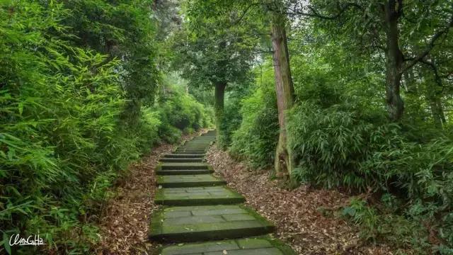 峨眉山景区路线图，峨眉山最经典的徒步游玩攻略（四川峨眉山旅游攻略）