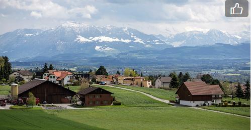 奇怪的小镇可以做什么，拒收难民禁止死亡