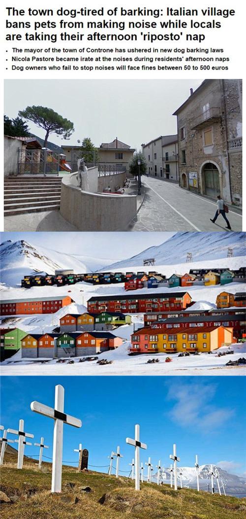 奇怪的小镇可以做什么，拒收难民禁止死亡