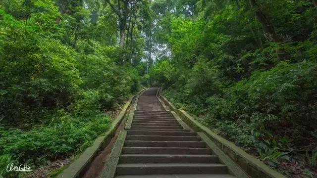 峨眉山景区路线图，峨眉山最经典的徒步游玩攻略（四川峨眉山旅游攻略）