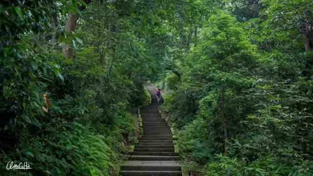 峨眉山景区路线图，峨眉山最经典的徒步游玩攻略（四川峨眉山旅游攻略）