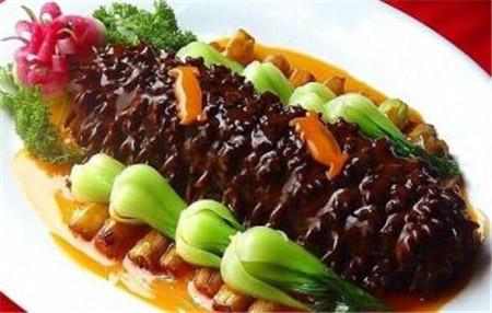 海参可以食用的种类图鉴，海参的种类与功效