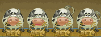 奇怪的小镇可以做什么，拒收难民禁止死亡