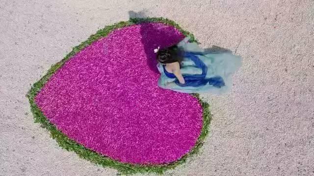太子妃升职记大结局为什么没有，"太子妃升职记"下线