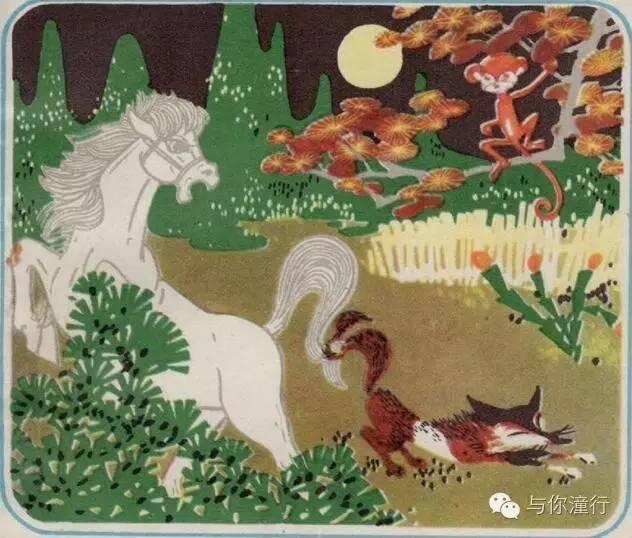 肥胖小马驹(g胖 小马)